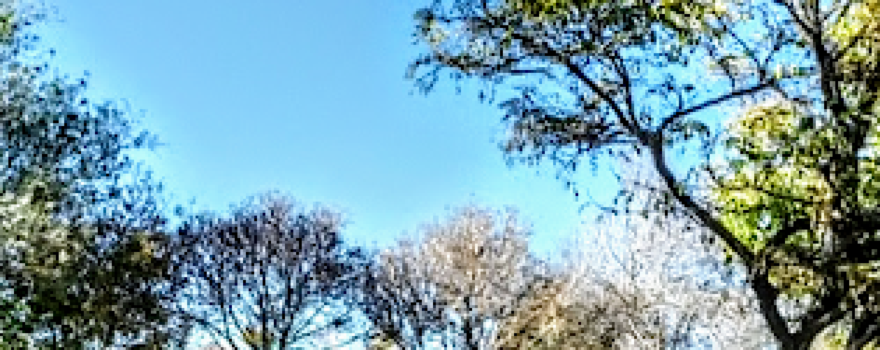 Amir Kabir Park