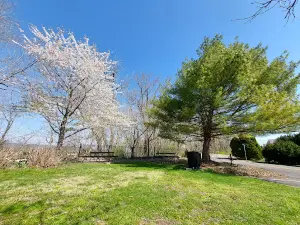 Alexandria Point