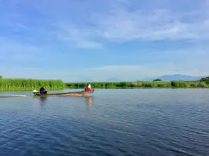 Reserva Natural de Monterrico