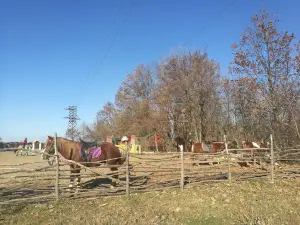 Rancho U Ivanovicha