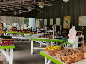 Bellamy Farms