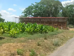 Plaza El Furrial