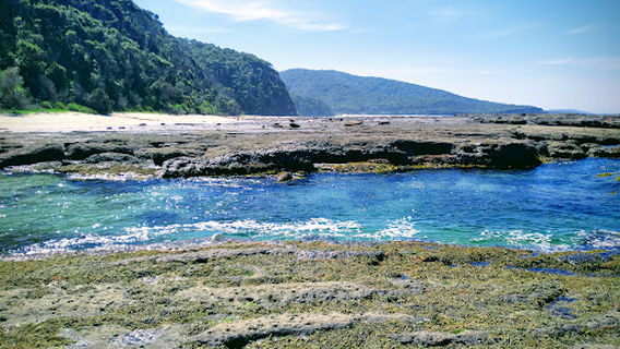Pebbly Beach to Snake Bay walking track
