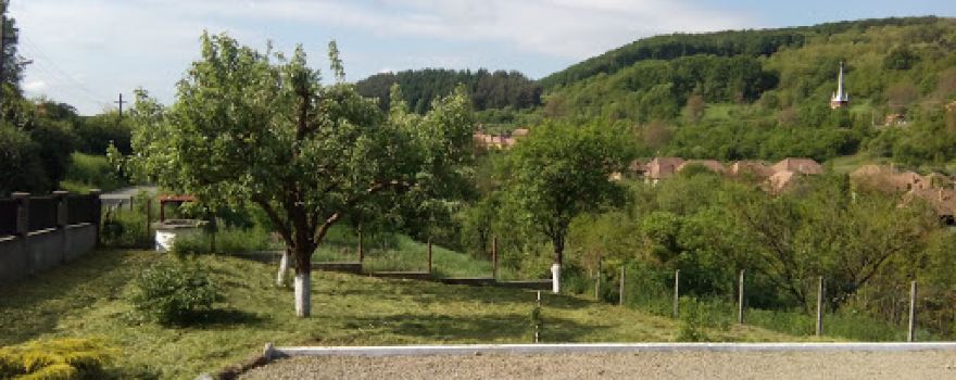 Sala Regatului a Martorilor lui Iehova