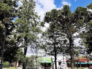 Plaza de los Cerrillos