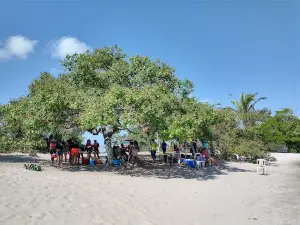 Lagoa Boca da Mata