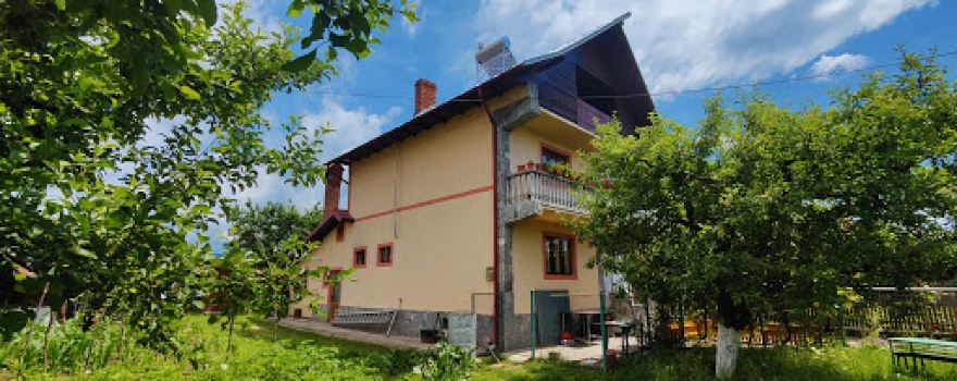 Casa Brezeanu
