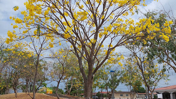 La Riviera | Don Bosco Park