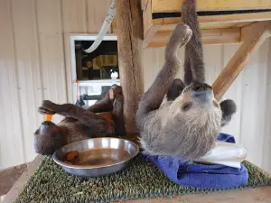 R Lazy J Wildlife Ranch