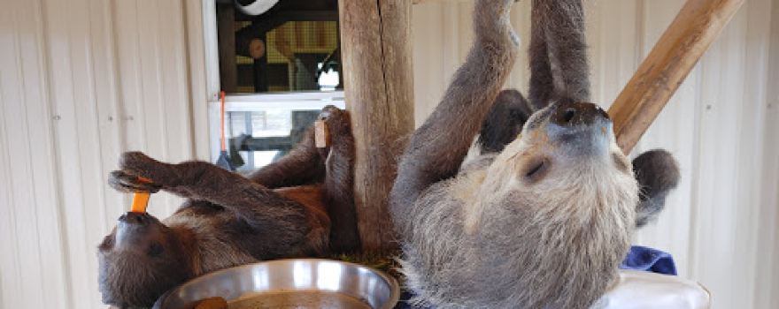 R Lazy J Wildlife Ranch