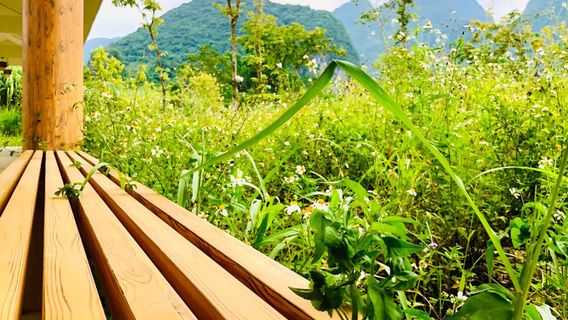 Donglan Po Hao Lake National Wetland Park