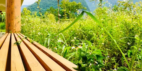 東蘭坡豪湖國家濕地公園