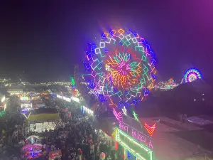 Exhibition Ground