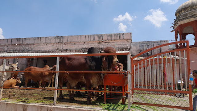 GODAVARI DHAM BALAJI TEMPLE