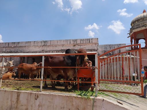 GODAVARI DHAM BALAJI TEMPLE