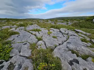 Burren Walk Parking Spot