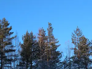 Kerzhenskiy, Gosudarstvennyy Prirodnyy Biosfernyy Zapovednik