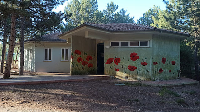 Kocakır C Tipi Mesire Yeri