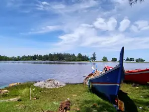 Pantai Kuala Tripa