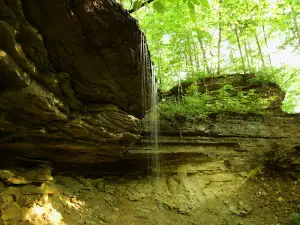 Hathaway Preserve At Ross Run - ACRES Land Trust