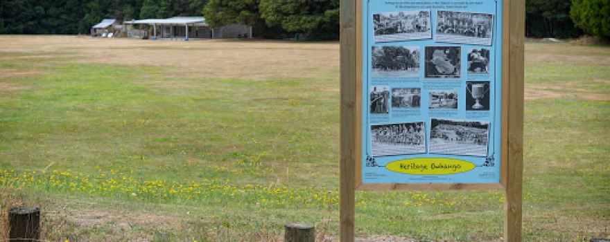 Owhango Recreational Domain