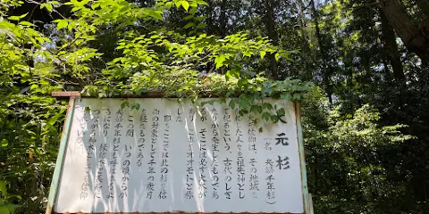 赤穴八幡宮の大元杉（夫婦千年杉）