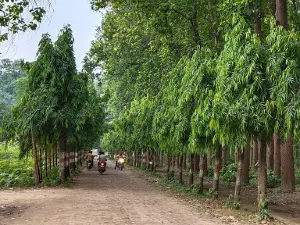 Vinod Van