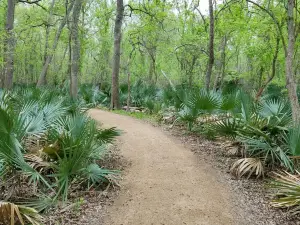 Palmetto State Park