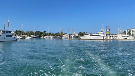 Fury Water Adventures Key West