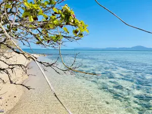 Calypso Reef Cruises