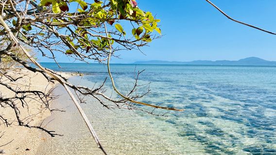 Port Douglas