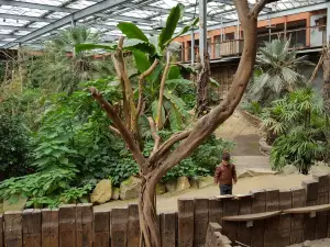 Zoo Veldhoven