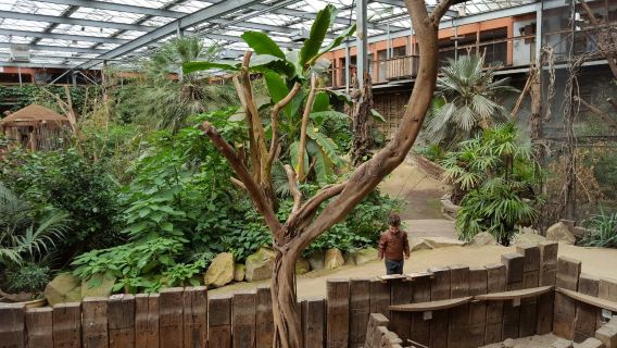 Zoo Veldhoven