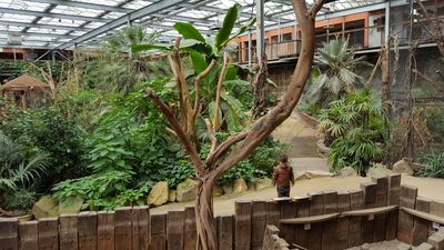 Zoo Veldhoven