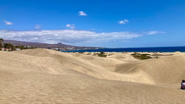Reserva Natural Especial de Las Dunas de Maspalomas
