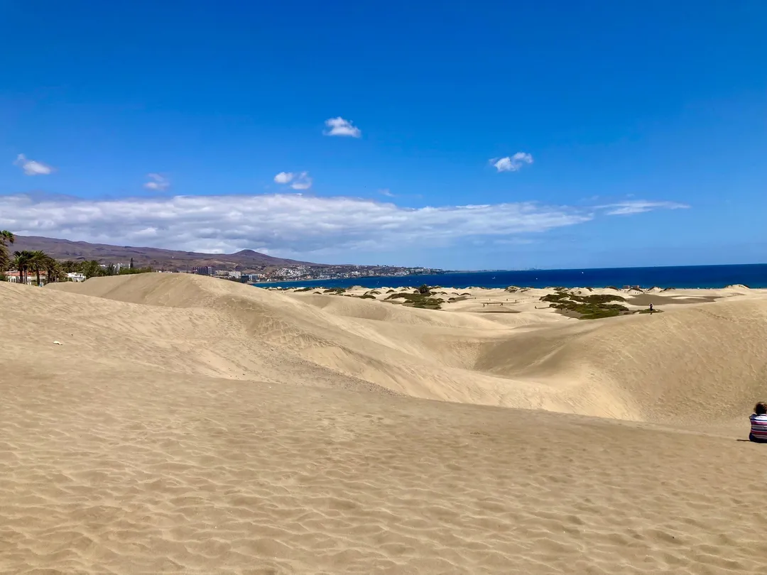2_Reserva Natural Especial de Las Dunas de Maspalomas