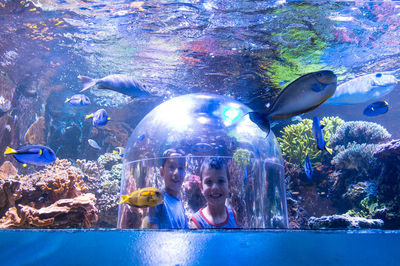 Butterfly House & Aquarium