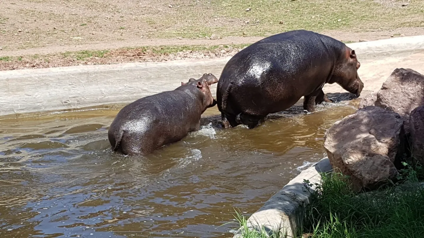 4_Parc Zoologique de Frejus