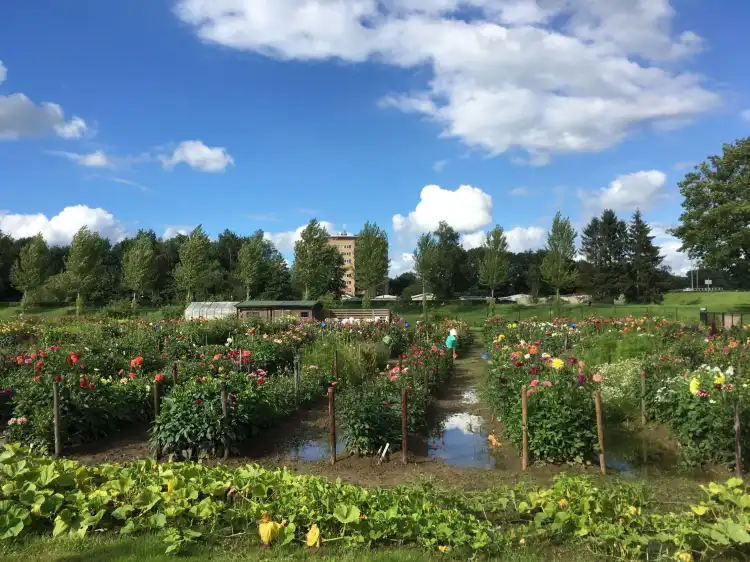 Hotels near Park De Wezenlanden