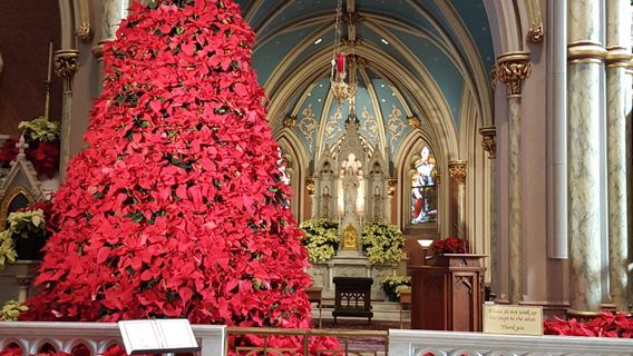Savannah Visitor Center