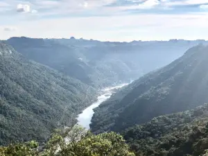 Adega Dom Camilo