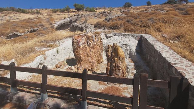 Petrified Forest of Lesvos