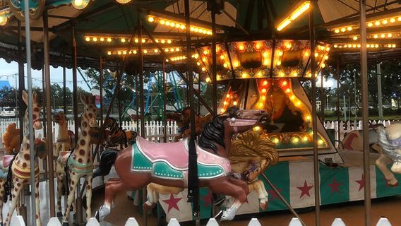 Splash City Adventures