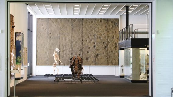 Museum Association Josef Albers Museum Quadrat e.V.