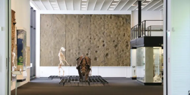 Quadrat Josef-Albers-Museum