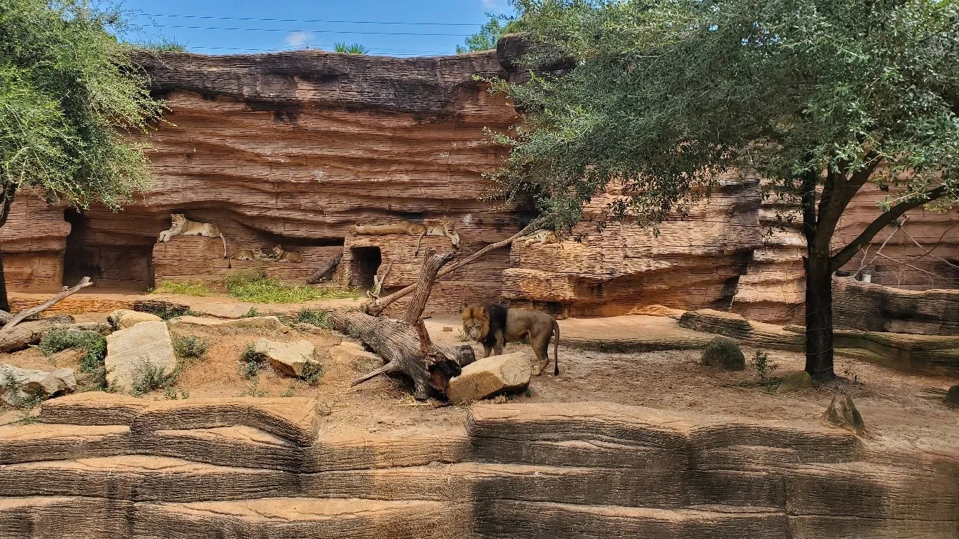 4_Riverbanks Zoo & Garden