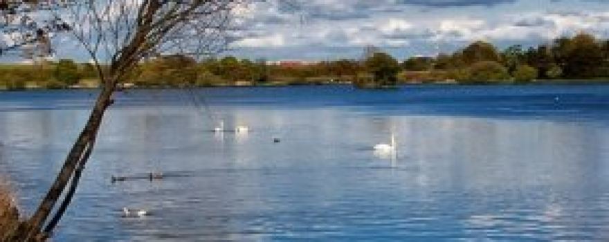 Yeadon Tarn
