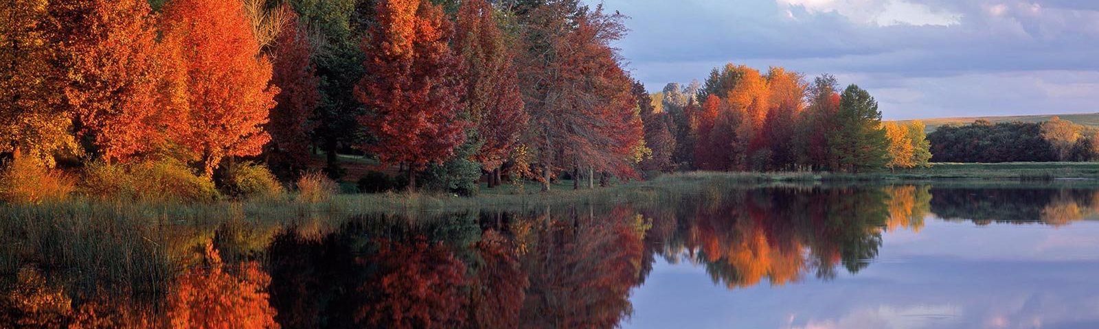 HimevilleTour giornalieri