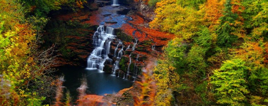 The Falls of Clyde