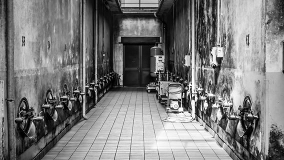 Cellar Wines Of Maremma